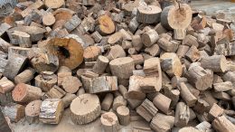 boxwood firewood